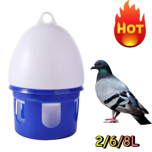 Automatic bird pigeons feeder - automatic,