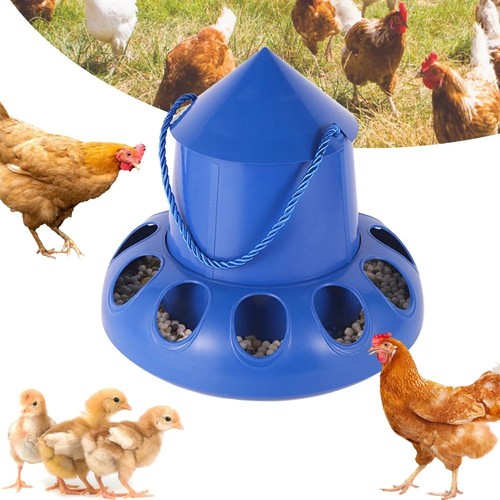 Automatic pigeon feeder - automatic,